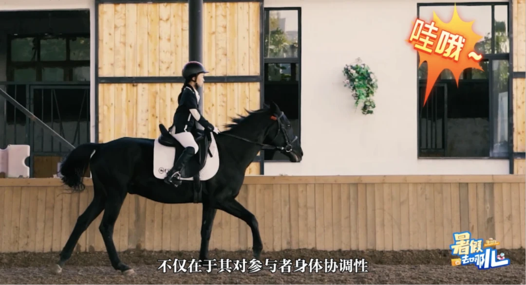 篮球双人训练计划怎么写_2